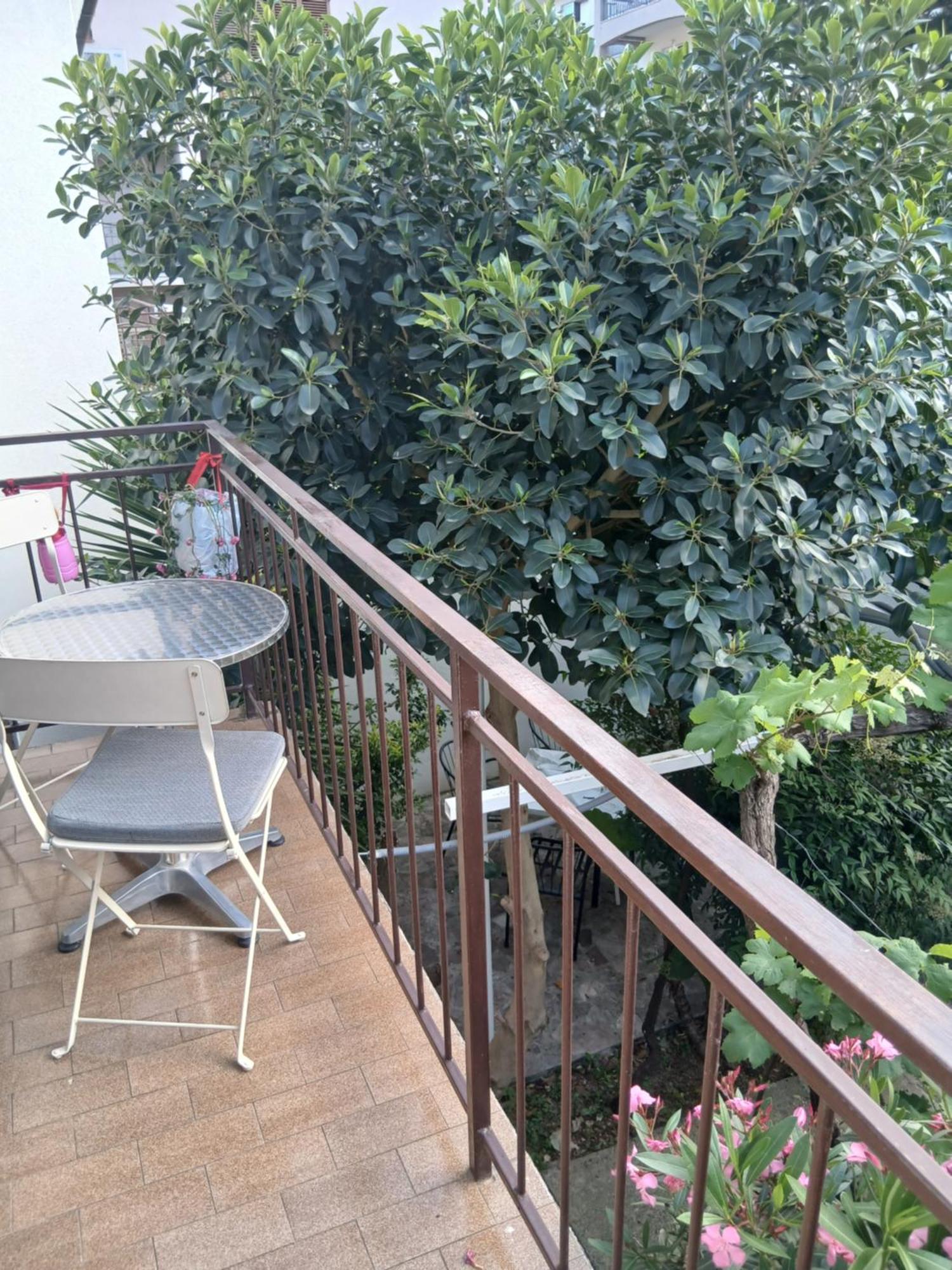 Center Appartement