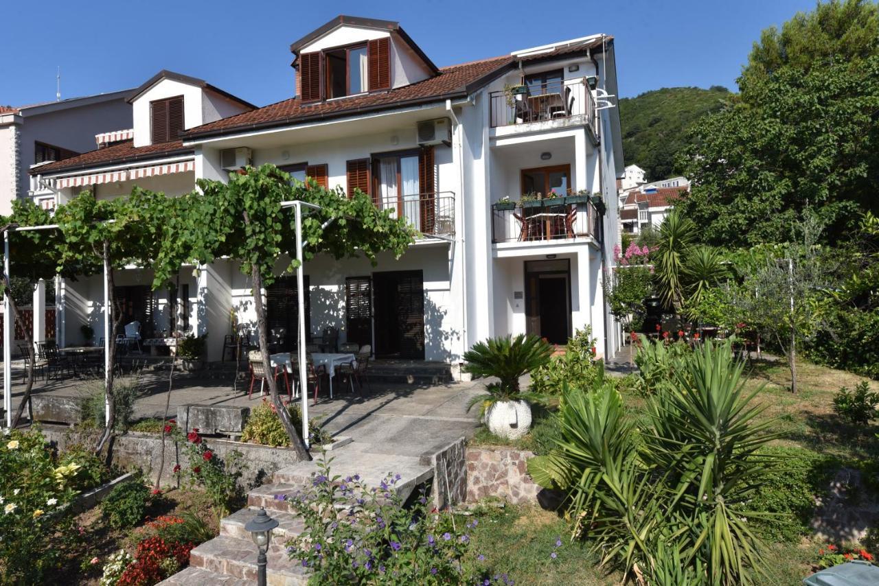 Center Budva