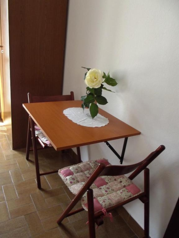 Center Budva